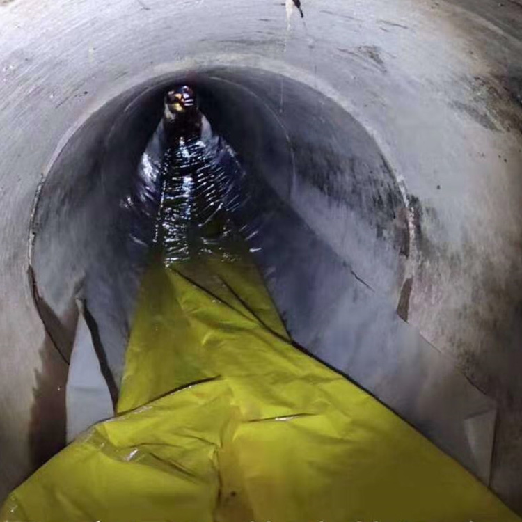 九合垸原种场管道光固化修复