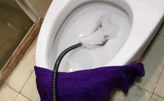 九合垸原种场马桶疏通